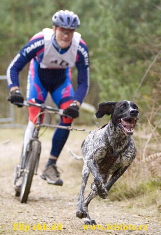 Maasmechelen 05 - 039.jpg